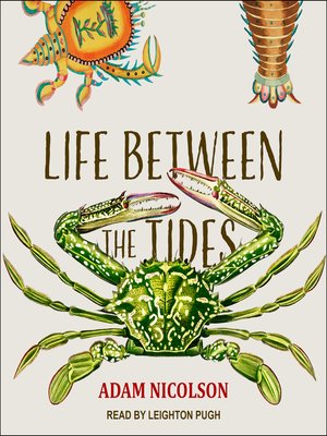 cover image of Life Between the Tides